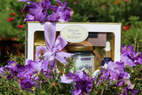 Lavender Garden Trial Pack - Mary Jardin Beauty Store